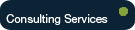 Derpon Consulting International, Consulting Services